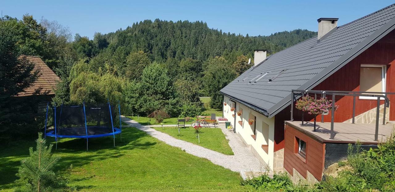 Appartement Powroznik 94 à Muszyna Extérieur photo