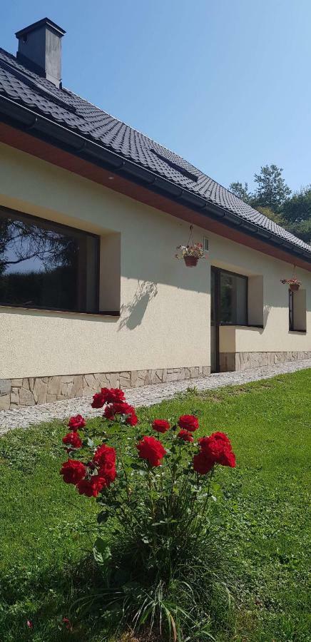 Appartement Powroznik 94 à Muszyna Extérieur photo